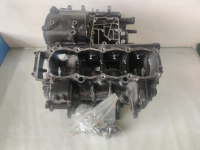 Yamaha MT-10 MT10 16-21 1000cc Engine Block/Crankcase